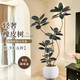 臨雅仿真綠植黑金剛橡皮樹(shù)室內客廳大型盆栽高端輕奢仿生假樹(shù)植物擺件 5桿1.9米33葉+米球盆