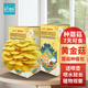 IAM City Farmer黃金菇 蘑菇種植包可食用菌種新鮮蘑菇套裝水培植物蘑菇包10142