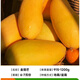 妃里香芒果苗樹(shù)四季貴妃芒凱特嫁接樹(shù)苗果樹(shù)果苗南方陽(yáng)臺盆栽地栽好養活 金煌芒果（50-60cm）