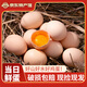 喜蛋哥新鮮谷物雞蛋農(nóng)家散養(yǎng)土雞蛋山林喂養(yǎng) 24枚裝 1000g