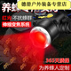阿尤布紅光養(yǎng)蜂頭燈查蜂取蜜抓蜜蜂燈頭戴式手電筒調(diào)焦紅白雙光源led 紅白雙光-雙電池-USB線