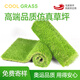 COOLGRASS仿真草坪假草坪人造草坪戶外庭院陽臺(tái)屋頂別墅庭院戶外地毯草皮 2cm特密（1米寬）拍幾件發(fā)幾米