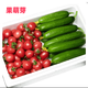 京地達(dá)山東小黃瓜圣女果組合現(xiàn)摘 凈含量5斤 蔬菜源頭直發(fā)包郵