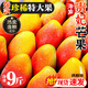 京地達(dá)海南貴妃芒果 凈重9斤特大果單果200g+ 現(xiàn)摘新鮮水果源頭直發(fā)包郵
