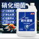 貝意品硝化細菌魚(yú)缸用消化細菌凈水劑凈化水質(zhì)清澈劑水族硝化菌2.5L