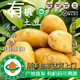 有機土豆5斤有機認證有機證書有機碼齊全無農(nóng)殘非轉(zhuǎn)基因順豐包郵 5斤順豐貼有機碼