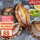 攜宴福建九孔大鮑魚 東山特產(chǎn) 深海海捕 鮮活急凍 火鍋燒烤食材 4頭/500g
