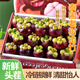峰江泰國(guó)進(jìn)口山竹特A級(jí)5斤新鮮大果當(dāng)季熱帶水果孕婦生鮮現(xiàn)貨禮盒臻選 泰國(guó)30年老樹(shù)特優(yōu)級(jí)麻竹 2斤普通裝