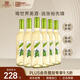 張裕先鋒海茵·詩榴花干白葡萄酒750ml*6瓶整箱裝 西班牙原瓶進(jìn)口紅酒