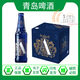 青島【青島發(fā)貨】奧古特A3全麥啤酒登州路一廠生產(chǎn)精釀啤酒10.7度 A3奧古特 480mL 12瓶 (一箱）
