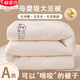 赫蒙莎大豆纖維被子冬季夏涼被芯空調(diào)被春秋冬天學(xué)生單雙人四季加厚保暖 白色【母嬰級親膚】 150x200cm 約3斤【夏被】