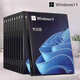 win10win11專業(yè)版正版系統(tǒng)windows1011電腦重裝系統(tǒng)U盤家庭專業(yè)版 Win11專業(yè)版中文 優(yōu)盤 永久使用