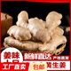 【產(chǎn)地直發(fā)】山東大姜生姜干姜老姜農(nóng)家自種 新鮮蔬菜 精選大姜 3斤