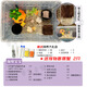 寄居蟹飼養(yǎng)箱盒套裝恒溫造景躲避水盆攀爬兒童禮物新手套餐寵物缸 海綿寶寶-中套裝【送2只寄居蟹】