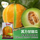 長(cháng)耕其力甘新疆老漢瓜種子超甜哈密瓜種籽春秋僅適用西北特色水果種孑 (10克x2包)其力甘甜瓜種子