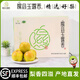 千園九味【順豐到家】山西隰縣玉露香梨新鮮水果送禮禮盒小西天特產(chǎn)整箱 推薦9枚優(yōu)選特大果（凈重8.5斤）