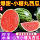 京地達山東手剝小糖丸西瓜凈重8斤單果2斤起新鮮小西瓜水果源頭直發(fā)包郵