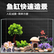二月花魚缸造景套餐一整套裝飾品擺件仿真水草全套景觀假山小缸造型內(nèi)飾 35-H05套餐 適合長40/50cm的魚缸 不包含魚缸
