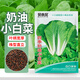 貝意品四季奶油快菜種子小白菜種孑菜種籽青菜速生快菜種籽蔬菜籽種大全
