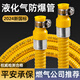 索普盾新國標(biāo)煤氣管軟管燃?xì)馓烊粴庖夯瘹飧邏悍辣苊簹夤拊顚Ｓ眠B接管 1米【雙插口】新國標(biāo)鎧裝管