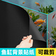 魚缸背景貼紙靜電黑色背景圖 長1米x高30cm【無膠背景貼紙】