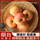 汀若國(guó)產(chǎn)紅富士蘋(píng)果 新鮮水果 整箱約5.5-5.0斤 凈含量2230g