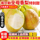 感光之水【新疆直發(fā)】正宗新疆庫爾勒香梨 新鮮當季水果全母梨子香甜順豐 5斤特級母梨彩箱裝（120-150g）