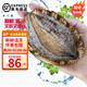 時(shí)寐東山島九孔大鮑魚(yú)深海海鮮東山島直發(fā)火鍋燒烤海鮮水產(chǎn)端午禮品 5頭/500克