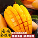 海南金煌芒水仙芒果新鮮現(xiàn)摘熱帶小臺(tái)芒 孕婦甜心芒9斤裝大果包郵 3斤 單果150g+