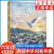 2025春季典耀中華閱美書香六年級 逆風(fēng)飛翔名作精編版湖南少年兒童出版社 葉夢著 內(nèi)蒙古湖南閱美書湘六年級課外書閱讀 正版