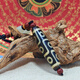 晟迅九眼天珠吊墜男女款藏式掛件項(xiàng)鏈情侶生日送禮物掛繩掛飾送男女友 九眼5.8cmB