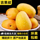 吉果叔 海南小臺芒果 當季小臺農(nóng)熱帶新鮮水果生鮮 整箱 【超值裝】單果重80-100g 9斤凈重8.5斤