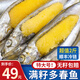 朵芙滿(mǎn)籽多春魚(yú) 1000g 約80條 特大多籽魚(yú)魚(yú)籽海鮮魚(yú)類(lèi)生鮮燒烤食材 【凈重2斤】特大滿(mǎn)籽多春魚(yú)