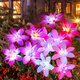 燧木太陽能大百合花燈戶外防水庭院花園景觀裝飾氛圍布置花草坪地插燈 1支裝-紅色-大百合花燈
