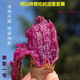 山東泰紫薯1號新鮮蜜薯流蜜糖心紫薯甜糯紅薯烤地瓜山芋紫心番薯 5斤 【中果2兩以上】