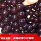 紫辰檀《千年樹齡老料》滿金星印度小葉紫檀手串男108顆佛珠項鏈女念珠 滿金星紫檀手串108顆10mm男士款