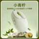 達爾優(yōu)小方糖z15無線藍牙雙模鼠標MAC女生辦公筆記本電腦通用禮物高顏值鼠標 Z15小青檸
