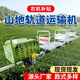 山地果園單軌運(yùn)輸車汽油大馬力自走式運(yùn)輸車農(nóng)用爬坡軌道運(yùn)輸機(jī) 單軌運(yùn)輸車定制專拍 RT-200