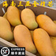 紛紛佳【順豐速運】海南三亞金煌芒特大果樹(shù)上熟水仙芒現摘新鮮水果禮盒 凈果8-8.5斤6-8個(gè)大果