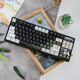 阿米洛（Varmilo）北歐風(fēng)悠客VA80 主題款鍵盤 雙系統(tǒng) 鍵盤機械 辦公游戲 機械鍵盤 悠客84鍵 三模  凱華臻靜軸 RGB燈