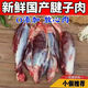 散養(yǎng)黃牛腱子肉正宗純牛腱子腱子弧 新整條原切無添加牛肉新鮮 黃牛腱子肉4斤