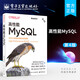 高性能MySQL 第4版 經(jīng)過(guò)大規(guī)模運(yùn)維驗(yàn)證的策略
