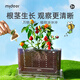 MiDeer彌鹿陽(yáng)光房種植兒童科學(xué)小實(shí)驗套裝植物生長(cháng)觀(guān)察盒兒童生日禮物