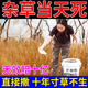 除草劑爛根除雜草一掃光三年不長(zhǎng)草除竹子大樹爛根強(qiáng)力除草專用 買2送1【強(qiáng)力爛根】