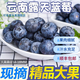 可香蜜云南藍莓新鮮水果藍莓巨無霸應季一整箱鮮果產(chǎn)地直發(fā) 4盒常規(guī)包裝(125*4) 18-20mm