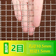 琳德不銹鋼網(wǎng)篩網(wǎng)304不銹鋼鋼絲網(wǎng)網(wǎng)片過(guò)濾網(wǎng)方格網(wǎng)金屬編織網(wǎng)軋花網(wǎng) 波紋網(wǎng) 絲粗1.5mm 孔10.5mm 1米寬