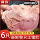 新鮮土豬肚整只6只去油冷凍散養(yǎng)土豬豬肚子豬肉生鮮商用順豐包郵 精選豬肚1只【單只7兩左右】