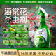 皎潔海棠花殺蟲(chóng)劑花卉植物土壤滅盆栽小飛蟲(chóng)藥蚧殼蟲(chóng)蚜蟲(chóng)打蟲(chóng)家用治蟲(chóng) 500mL 1瓶