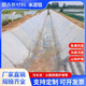 韶梔春水泥毯澆水固化新型混凝土魚塘護(hù)坡鋪路河道溝渠基坑防護(hù)固土毯布 6公斤/一平方