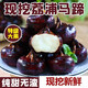 儲褚正宗廣西荔浦馬蹄荸薺 水果馬蹄 新鮮即食水果現(xiàn)挖整箱包郵 精選3斤中果【20-25個/斤】
